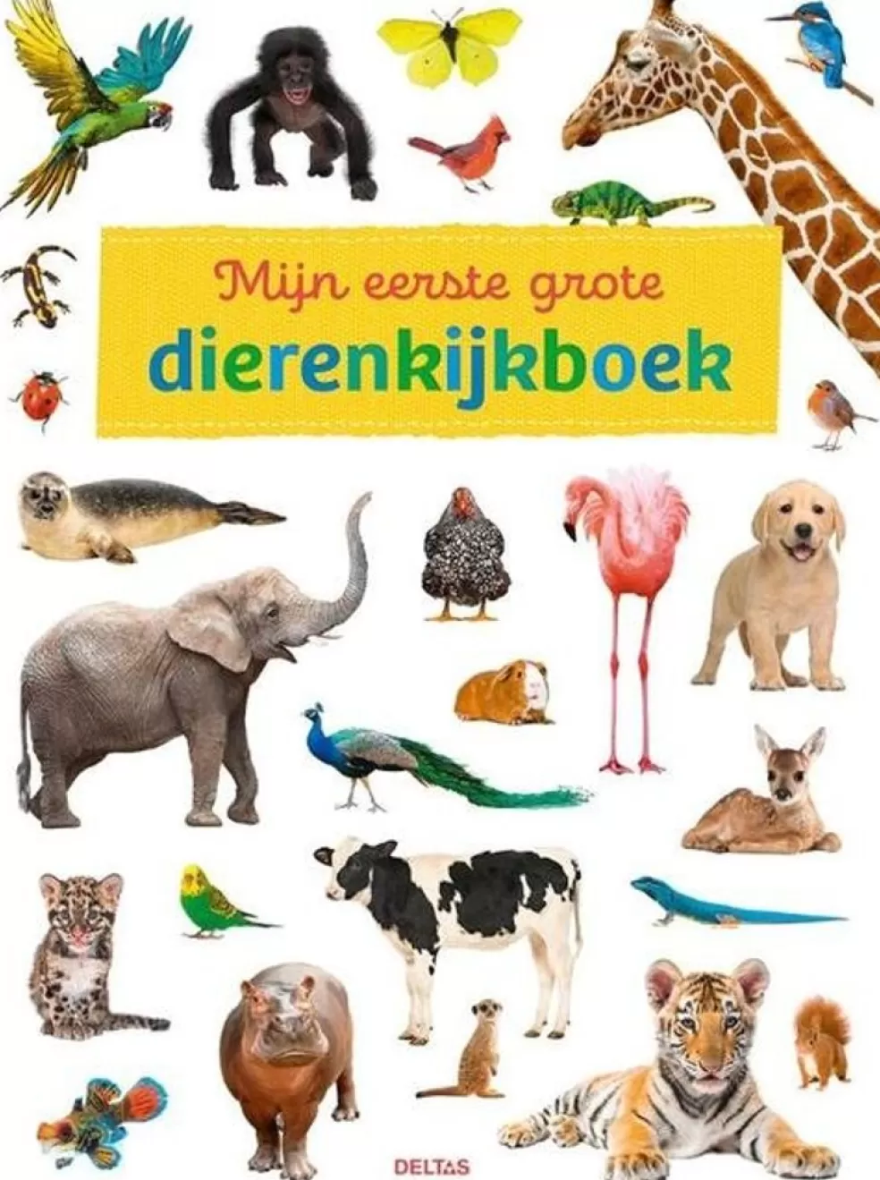 Deltas Sinterklaas Cadeau 5 - 6 Jaar* Mijn Eerste Grote Dierenkijkboek