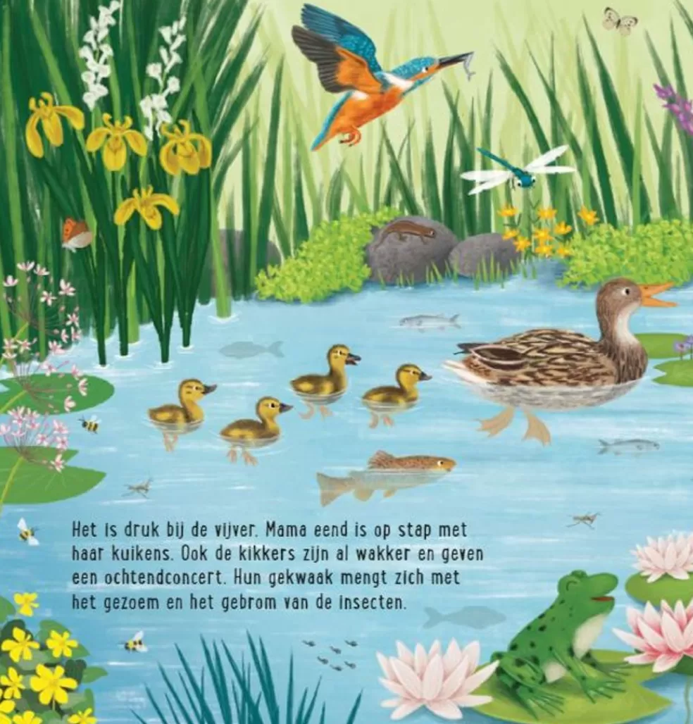 Deltas Sinterklaas Cadeau 5 - 6 Jaar* Mijn Eerste Zoekboek - Dieren Bij Het Water