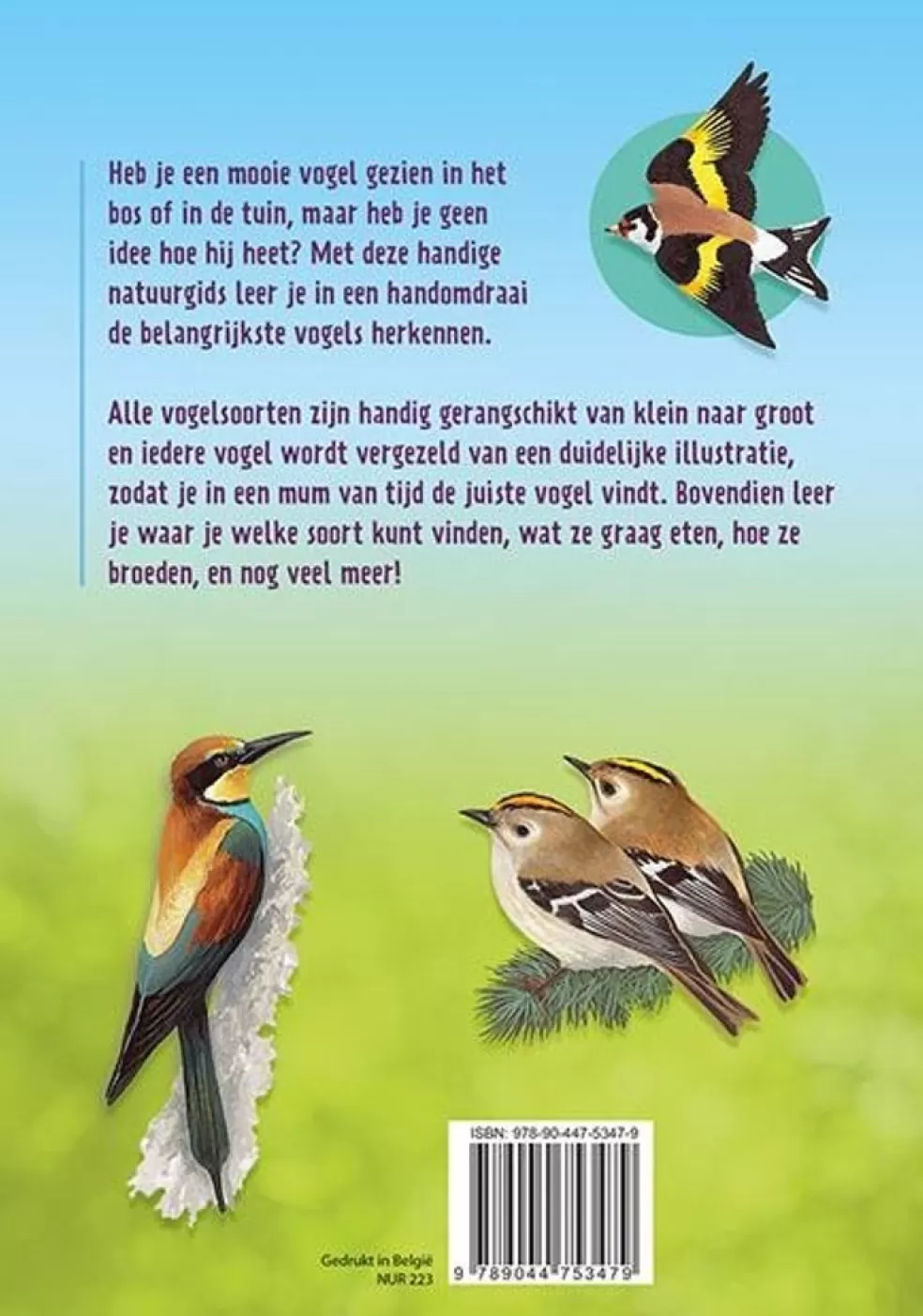 Deltas Sinterklaas Cadeau 11 - 12 Jaar* Vogels Herkennen En Observeren