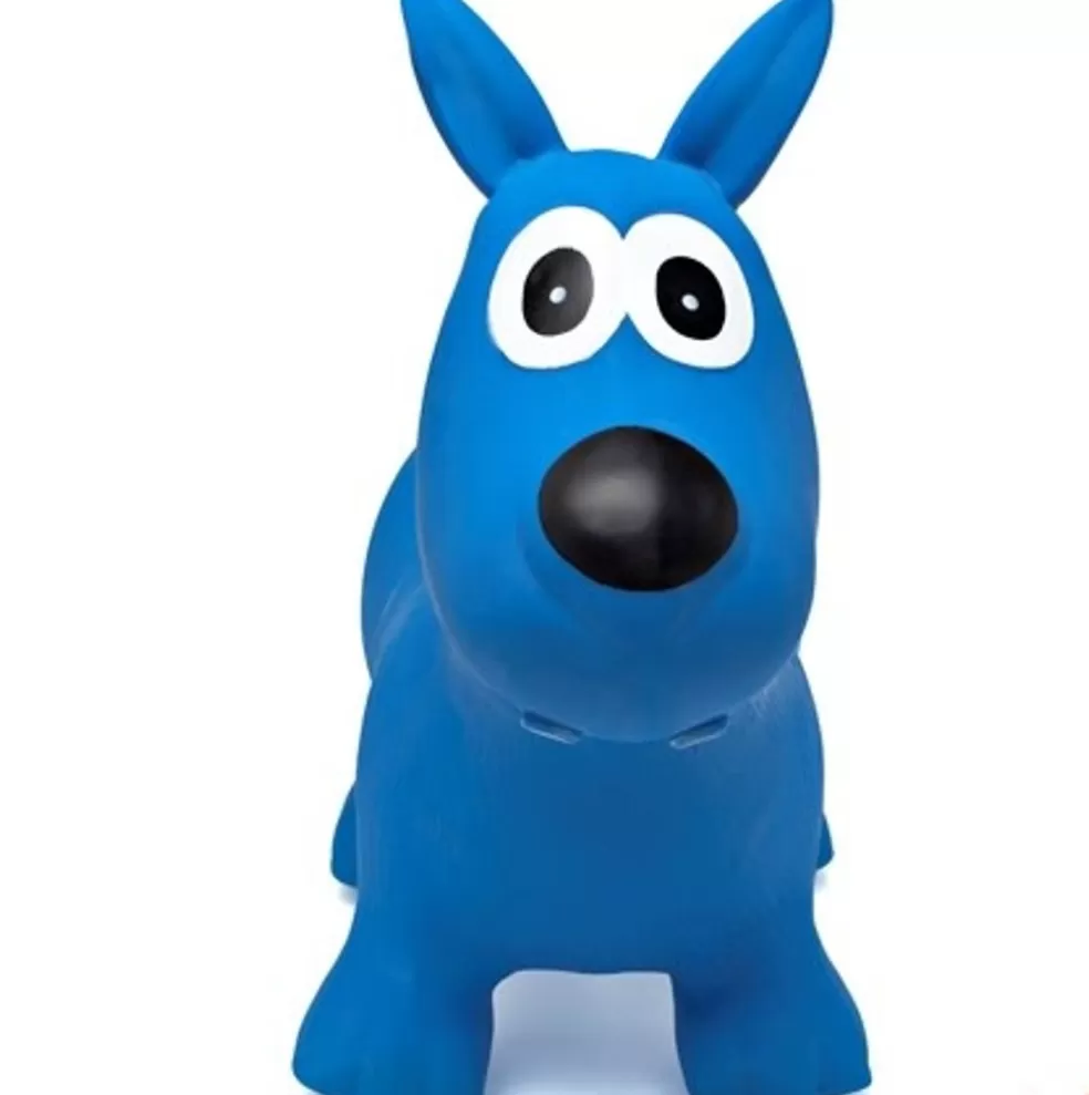 Janod Sinterklaas Cadeau 0-2 Jaar* Hippy Skippy - Hond Blauw