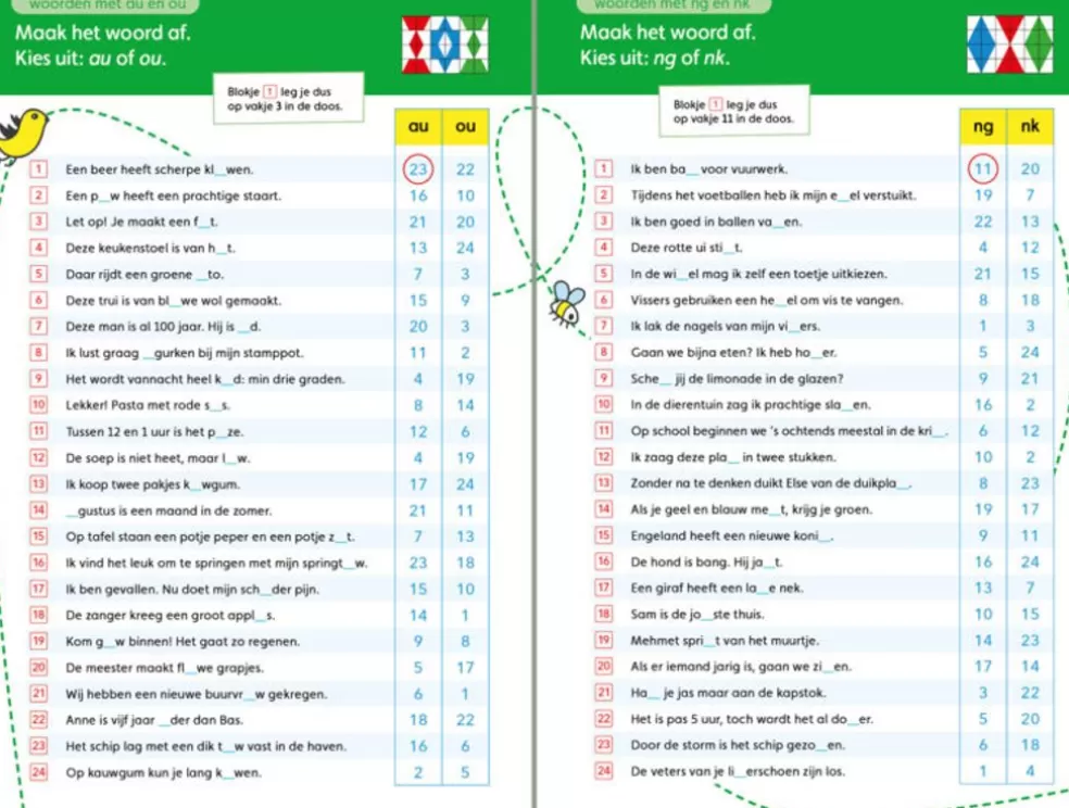 Loco Sinterklaas Cadeau 9 - 10 Jaar* Taaljacht - Spelling M5/E5 (Maxi)