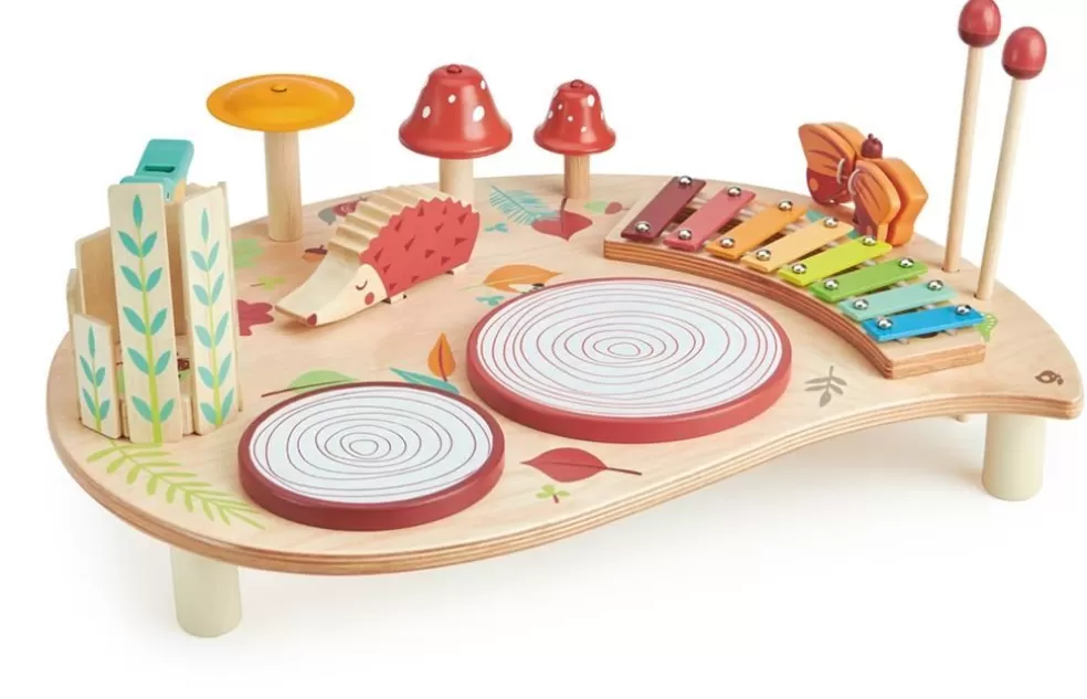 Tender Leaf Toys Sinterklaas Cadeau 5 - 6 Jaar* Houten Speelgoed - Muziektafel