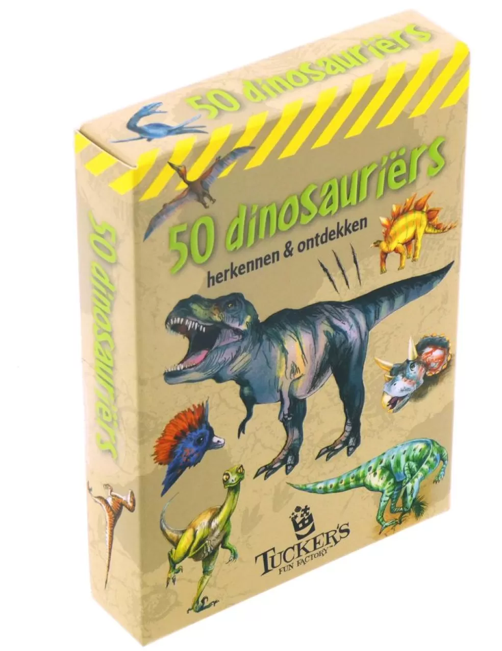 TFF Sinterklaas Cadeau 11 - 12 Jaar* 50 Dinosauriers